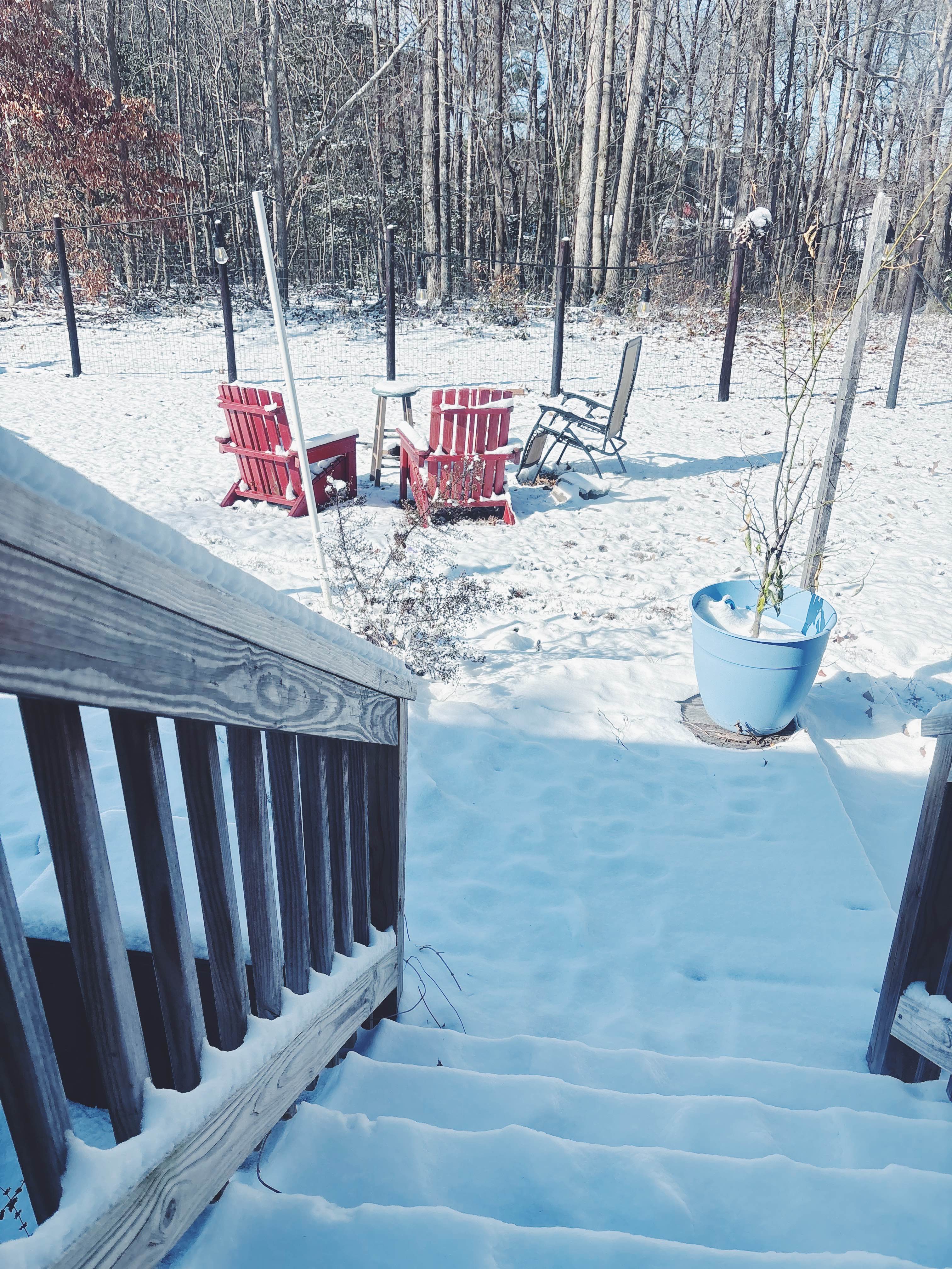 A photo of my snowy backyard.